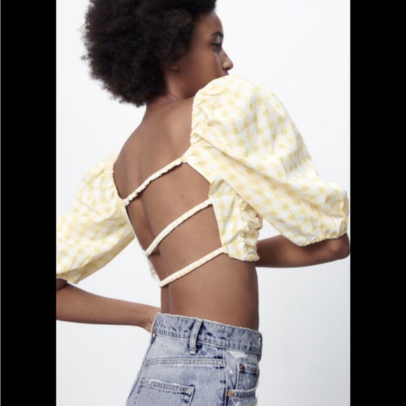 Zara Tops - Zara limited edition back open embroidered gingham print crop top